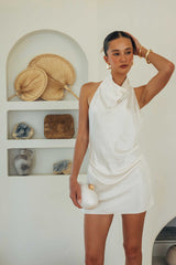 Leighton Cowl Neck Mini Dress